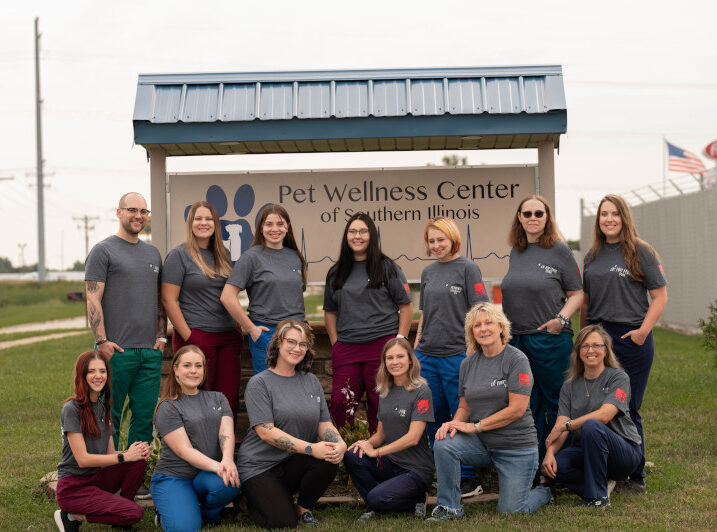 Veterinarian in Effingham, IL